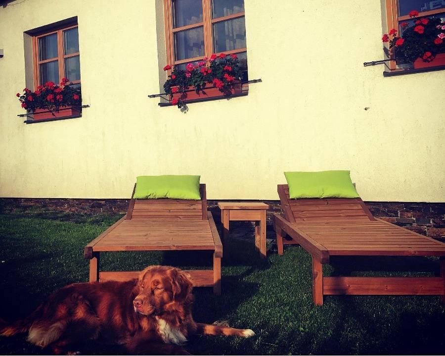 Horsky Apartman Zvonicka Rejviz Bagian luar foto